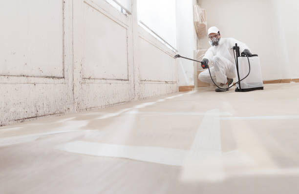 24/7 Emergency Mold Remediation experts in Henderson, TX