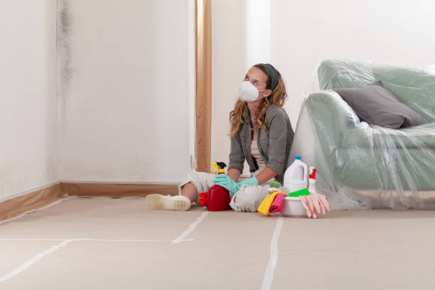 Reliable Mold Remediation contractor in Henderson, TX by Mold Remediation HQ